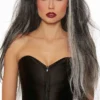 Dreamgirl Extra Long Haunted Ghost Grey Wig Halloween Costume Accessory 11329 2 Dreamgirl Extra Long Haunted Ghost Grey Wig Halloween Costume Accessory 11329 -Halloween Magique Store 02180d28 6a3e 5d5f 89d2 133f18a56367 03263.1551196433