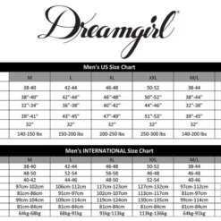 Dreamgirl Rogue Pirate Caribbean Looting Buccaneer Adult Mens Halloween Costume -Halloween Magique Store 1bae63d4 f0d0 5dba a792 fcb8c1244b81 11574.1662065777