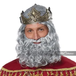 California Costumes Biblical King Wig & Beard Adult Halloween Costume 70921 -Halloween Magique Store 1c13f080 c691 5193 8ed5 1fb71cfc8d30 85589.1533311988