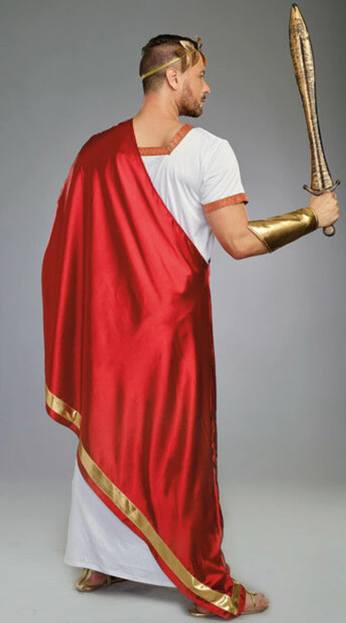 Dreamgirl Julius Caesar Ancient Roman Toga Adult Mens Halloween Costume 11159 4 Dreamgirl Julius Caesar Ancient Roman Toga Adult Mens Halloween Costume 11159 - Image 2