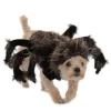 Princess Paradise Tarantula Dogs Pets Spiders Spooky Halloween Costume 14294 -Halloween Magique Store 9a79ef1f c8c2 5b1c a141 fdbd8957fc46 52370.1548777577