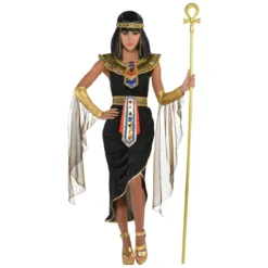 Amscan Egyptian Queen Cleopatra Dress Adult Womens Halloween Costume 847814