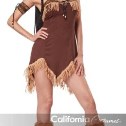 California Costumes Sexy Indian Princess Adult Womens Halloween Costume 00940