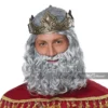 California Costumes Biblical King Wig & Beard Adult Halloween Costume 70921 -Halloween Magique Store db6a5a32 de11 5580 8969 987033d8f75d 50065.1533311986