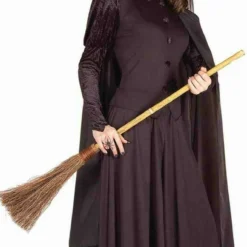 Forum Novelties Classic Wicked Witch West Adult Womens Halloween Costume 58421