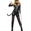 Dreamgirl Cat Fight Catwoman DC Comics Superhero Womens Halloween Costume 9959 -Halloween Magique Store f679f518 104b 5d52 be85 c8d405a8d4d6 79282.1654807555