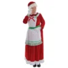 Amscan Mrs. Claus Sweet Christmas Holiday Womens Plus Size Halloween Costume