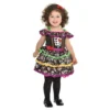 Amscan Day Of The Dead Sugar Skull Dress Toddlers Halloween Costume 8402565